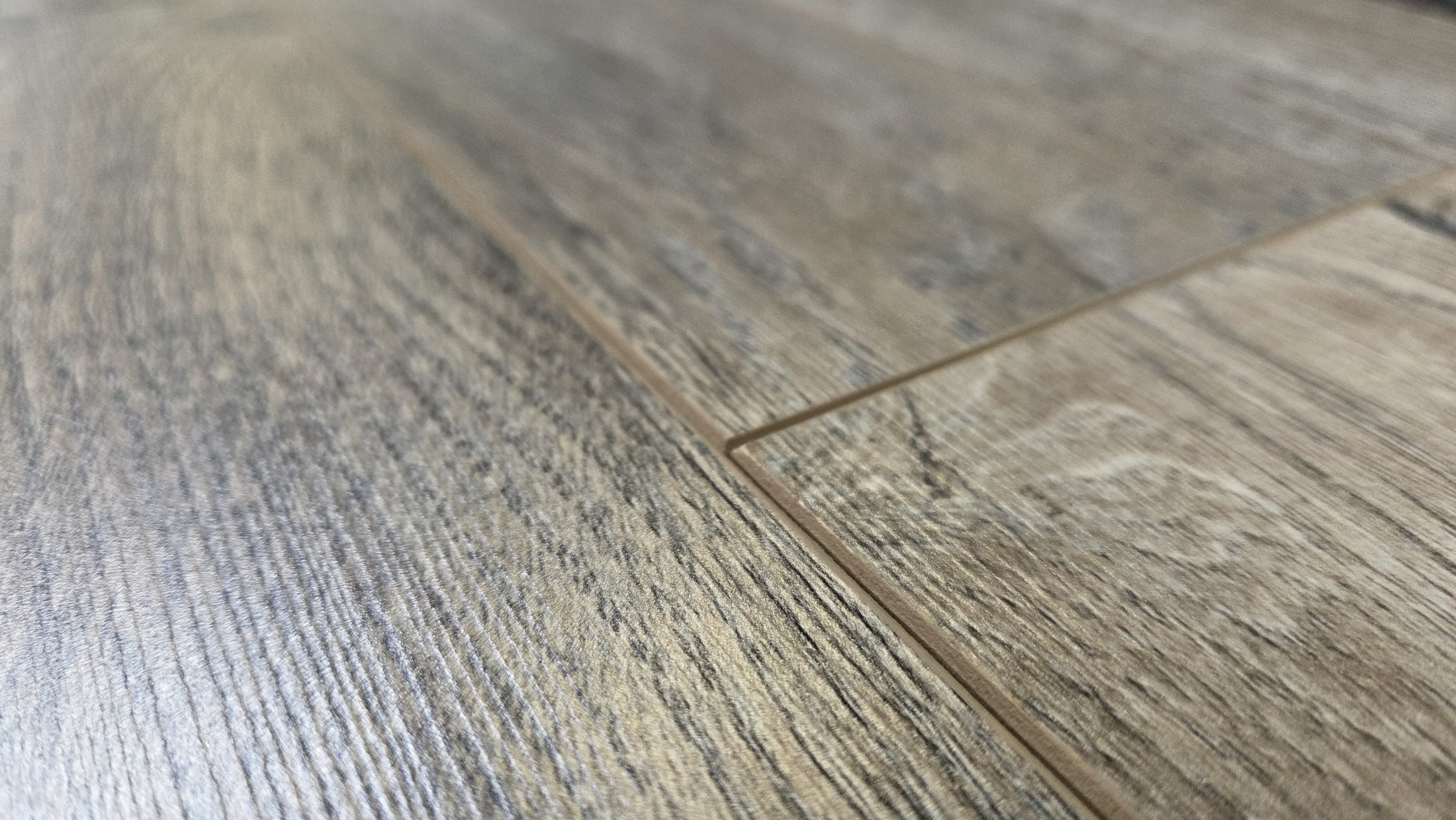 Hanover Oak — 12mm Forest 12mm Range — hanover-oak